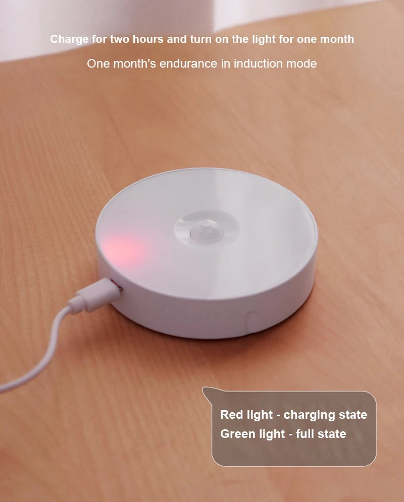 USB Rechargeable PIR Motion Sensor LED Night Light